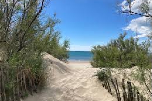 Week-end Massage à Montpellier : escapade bien-être Mer & Spa